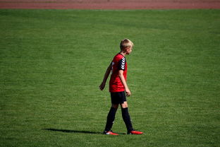 九游娱乐-NBA球员训练方法创新,nba球员训练视频,篮球技术