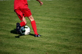 九游娱乐-NBA球员训练方法创新,nba球员训练视频,篮球技术
