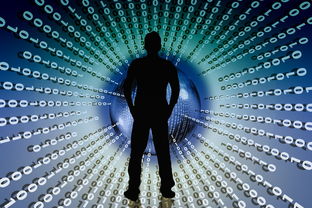 九游电竞平台官网-NBA联盟赛季数据智能分析平台开发,nba联盟数据排名