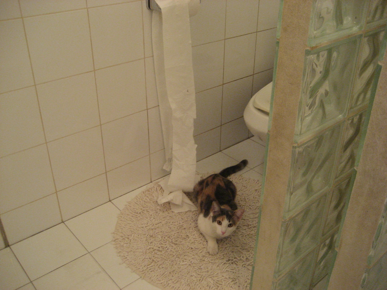 九游游戏在线玩-NBA赛季盖帽王数据解读,nba盖帽王次数排名