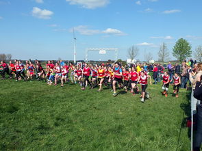 9游app-世界青少年滑板锦标赛吸引众多新锐少年，2021青少年滑板锦标赛