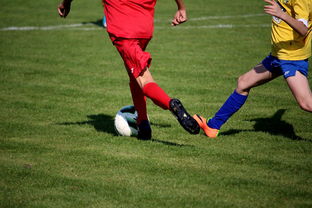 九游下载电脑版官网-世界青少年自行车赛中国骑手再创佳绩，2020全国青少年自行车锦标赛