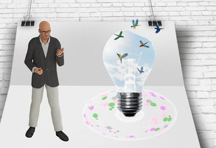 九游体育网址-中国篮球职业联赛俱乐部财务风险管理及控制，篮球俱乐部的风险与对策