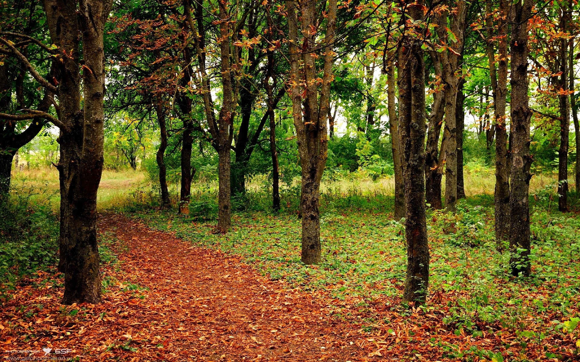 九游中心官网-体育赛事数字营销策略设计，体育赛事营销有哪些创新方式