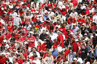 Jiuyou-体育赛事观众行为特征与管理对策，观众对体育赛事的意义